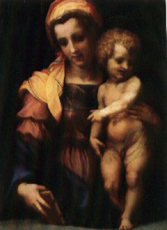 Andrea del Sarto Our Lady of subgraph Sweden oil painting art